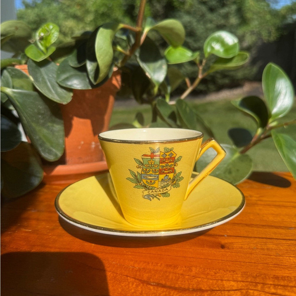 Vintage “Canada” Tea Cup & Saucer: Royal Winton Grimwades (Made in England)